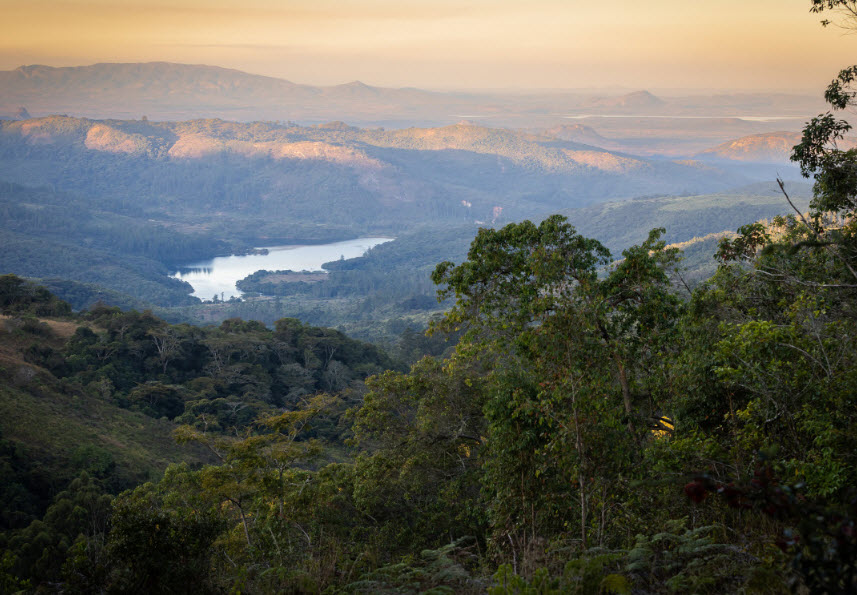 Vumba Mountains (Bvumba), Zimbabwe